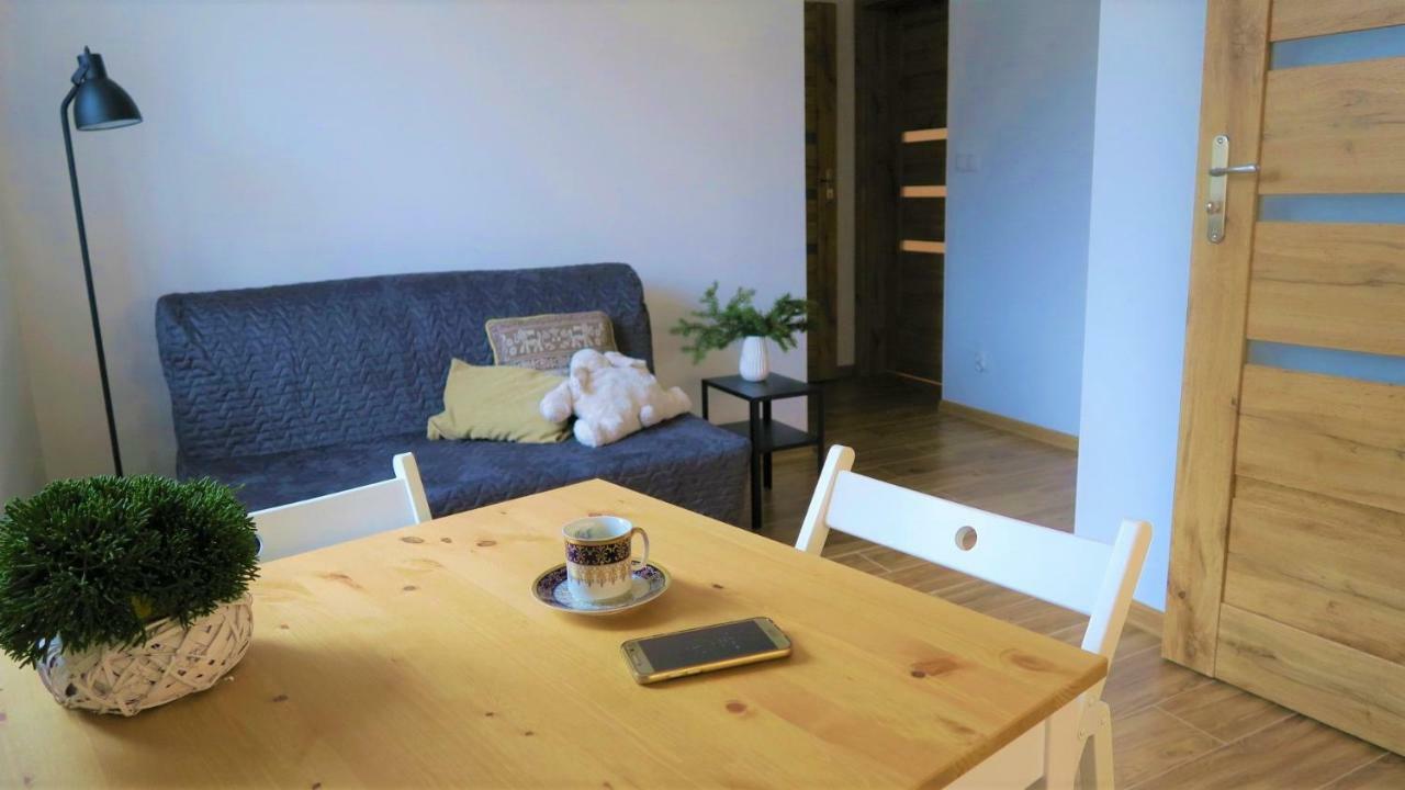 Apartamenty Siostra I Siostra Laziska (Silesia) Exterior foto